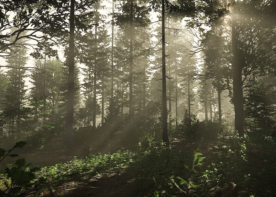 Locations 4 Forests 2